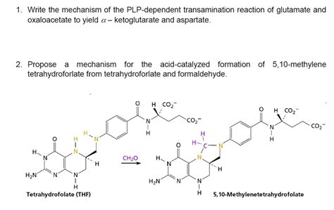 Solved Write The Mechanism Of The Plp Dependent Transamination