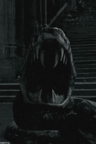 Harry Potter Snake GIF - Find & Share on GIPHY