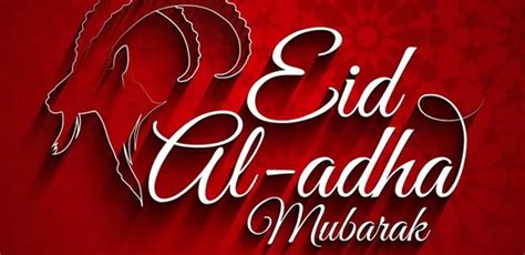 Happy Eid Al Adha 2024 Best Messages Wishes Quotes And Greetings