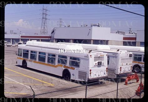 Lacmta New Buses