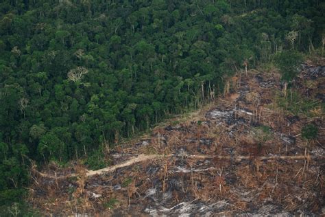 10 imagens aéreas do desmatamento recente da Amazônia