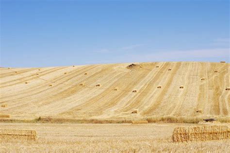 Stubble Field Stock Image Image Of Farming Nature Farm 25934693