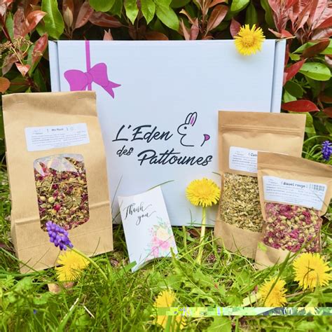 Box Mensuelle Pour Lapins L Eden Des Pattounes