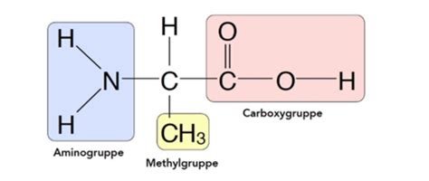 Klinische Chemie Gesamteiweiß Flashcards Quizlet