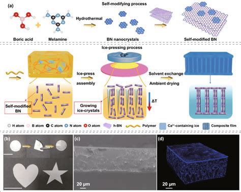 Self Modifying Nanointerface Driving Ultrahigh Bidirectional Thermal