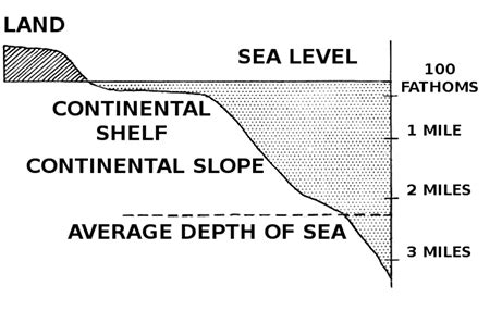 Continental Crust | Definition, Composition & Characteristics - Lesson ...