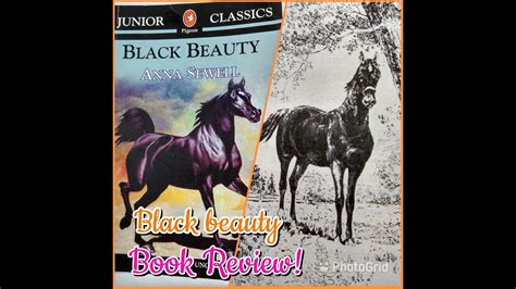 Best Novel For Teens Black Beauty Review In English Youtube