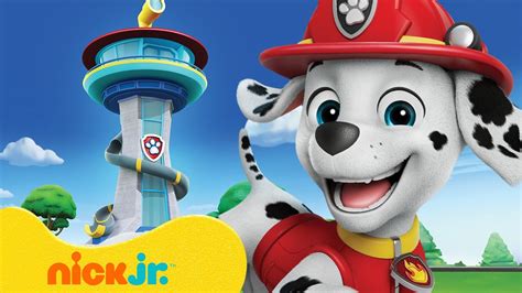 Paw Patrol Marshalls Most Daring Adventures 🚒 10 Minute Compilation