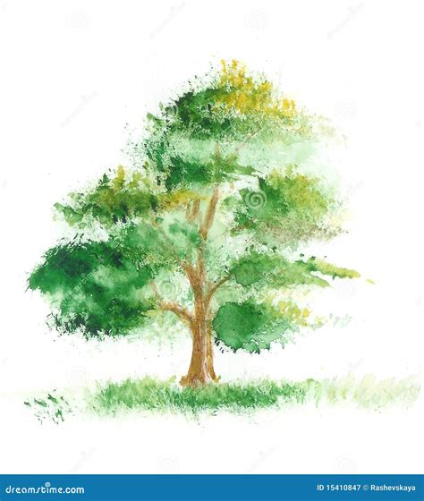 Watercolor Painting Of A Tree Royalty Free Stock Photography - Image ...