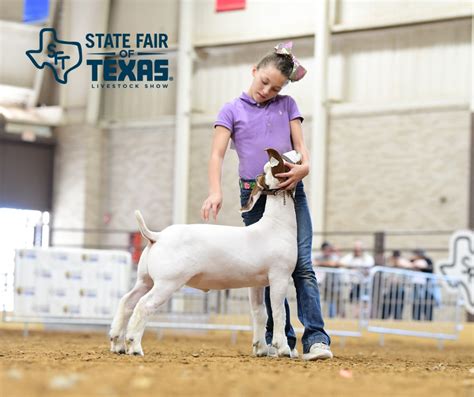 2023 State Fair of Texas | Youth Market Goat & Lamb Show | The Pulse