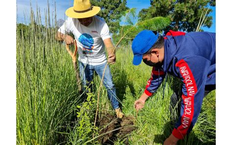 Va Rodrigo Cuahutle Por El Cuidado De Los Bosques Y Del Agua En El