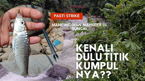 Mencoba Spot Baru Mancing Wader Bonus Ikan MAHSEER TUKANG MANCING