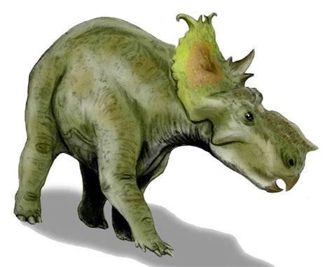 Pachyrhinosaurus Pictures And Facts The Dinosaur Database