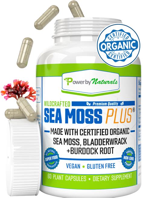 Organic Sea Moss Capsules Pure Irish Sea Moss Bladderwrack