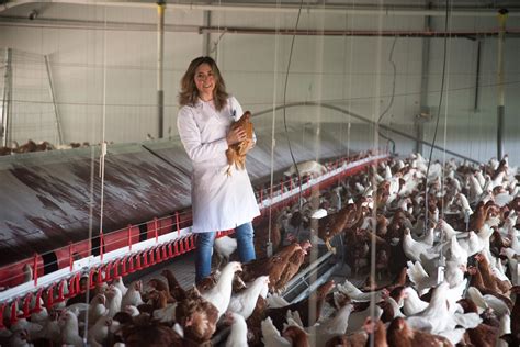 Campesana Una Granja Sostenible De La Mano De COSMA