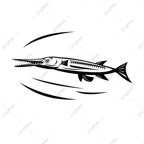 belonidae png vector psd  clipart  transparent background