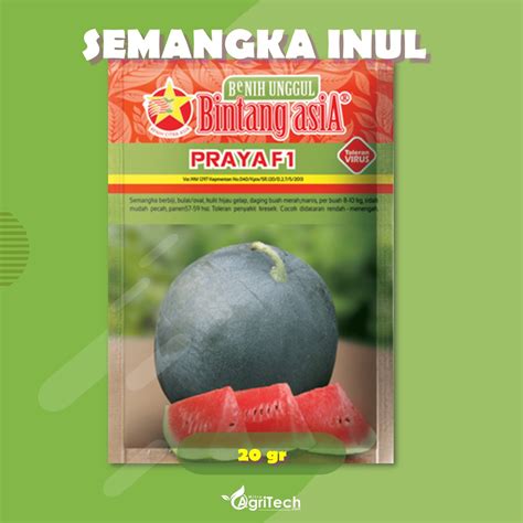 Jual Benih Bibit Semangka Inul Bulat Praya F Isi Gram Cap Bintang