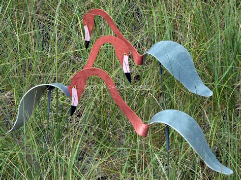 Reddish Egret - Florida Dancing Birds®