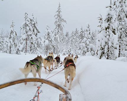 Visiter Laponie finlandaise préparez votre séjour et voyage Laponie