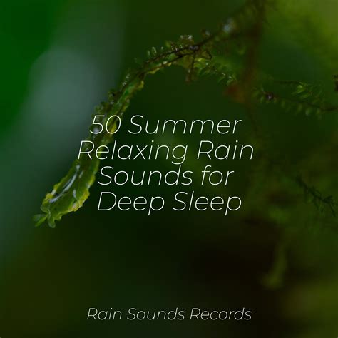 Relaxation and Sleep Benefits of Heavy Rain Sounds 32