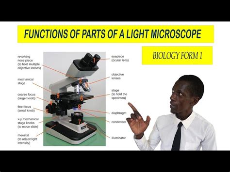 Microscope Diaphragm Function