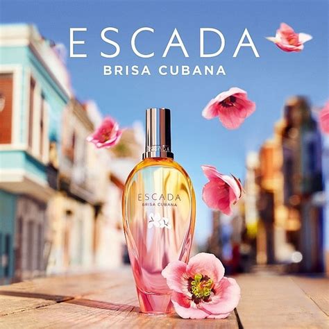 Brisa Cubana Escada Perfume A Novo Fragr Ncia Feminino