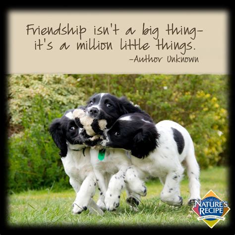 Dog Friendship Quotes. QuotesGram