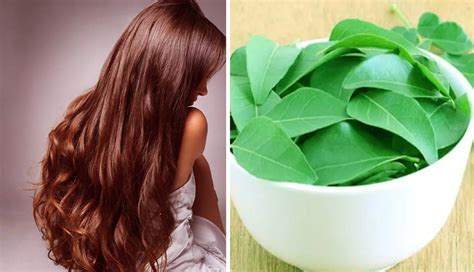 Different Ways To Use Curry Leaves To Promote Hair Growth Lifeberrys