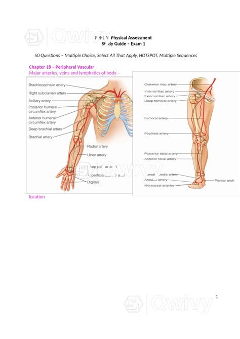 NR304 NR 304 Exam 1 Study Guide Latest 2021 2022 Health Assessment