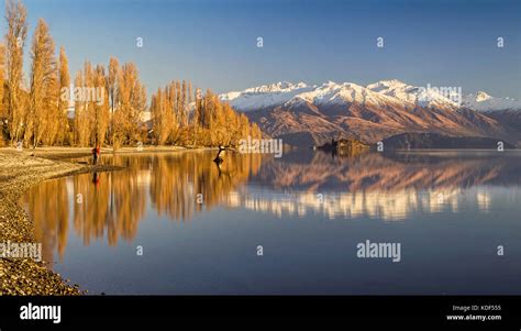 Lake Wanaka Otago South Island New Zealand With The Willow Stock