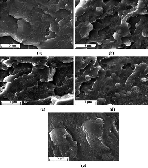 Characterization And Compatibility Of Bio Based Pa Pet