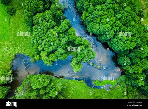 Green Forest And River Aerial View Of Tuchola National Park Stock