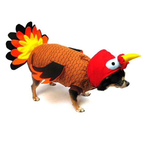 Turkey Dog Costume | BaxterBoo