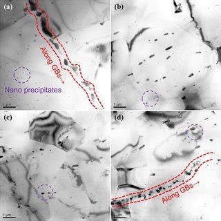 SEM Images Of As Cast Mg 4Zn XCa YMn Alloys A Mg 4Zn 0 3Ca 0 7Mn