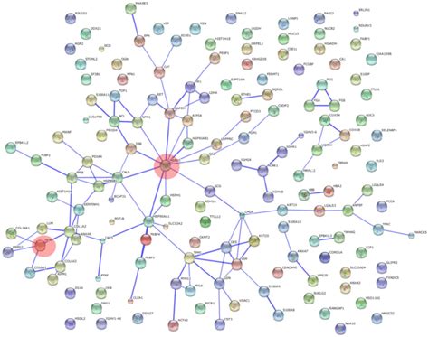 Protein Protein Interaction Networks Of Differentially Expressed