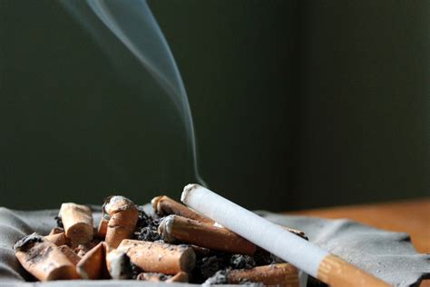 Como tirar cheiro de cigarro de dentro de casa Notícias Concursos