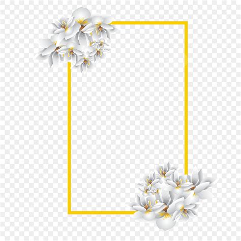 White Background With Flowers Png