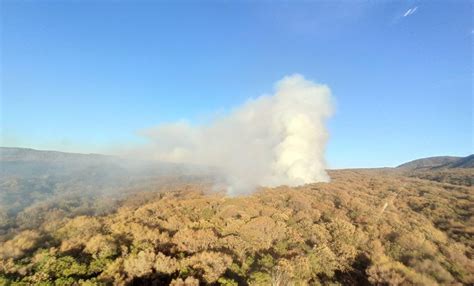 Detienen A Presunto Causante De Incendio Al Bosque La Primavera