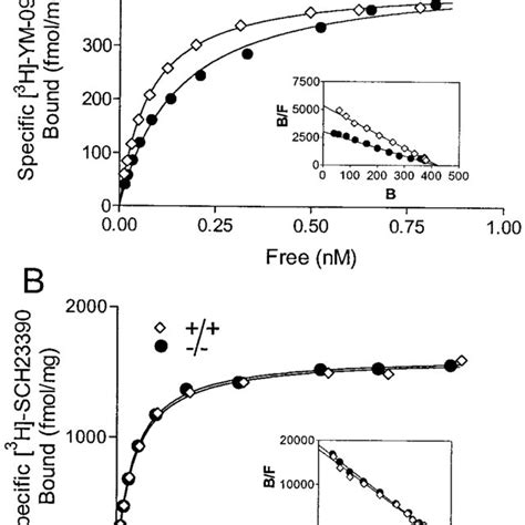 D And D Ligand Binding Assays A Saturation Binding Curve Of