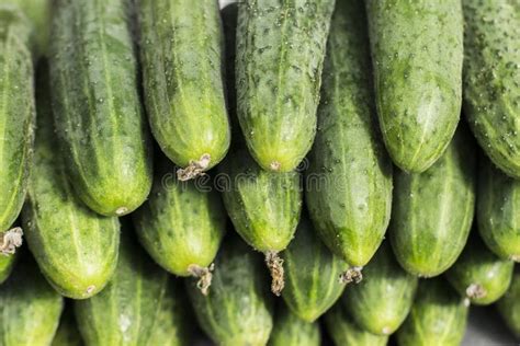 Fresh Cucumber Abstract Fruit Colorful Pattern Texture Background Stock