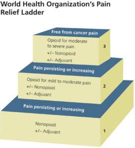 Analgesic drugs and effects, topical analgesic and analgesic side effects