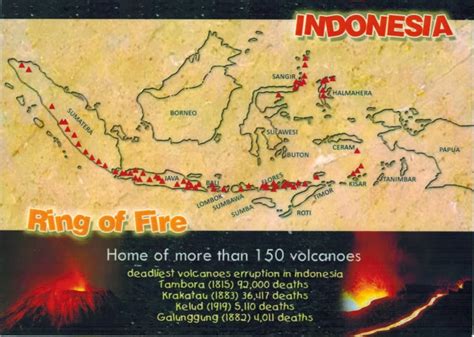 Map Cards - Hunting: 0239 Indonesia - Ring of Fire