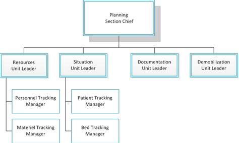 Hospital Incident Command System Org Chart