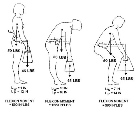 Biomechanics Of Lifting