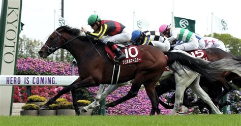 的中🎯2 4 13 日本テレビ盃 Jpn2 地方競馬 船橋競馬予想2024925｜ひまわり厨フォロバ100％