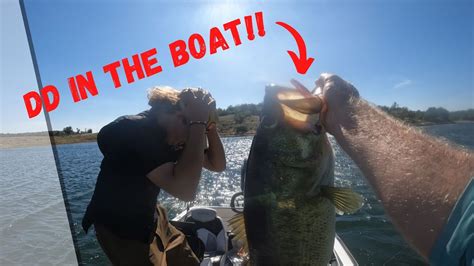 Catching Giant Crappie And Trophy Bass Dd Alert Over 30lb Bag