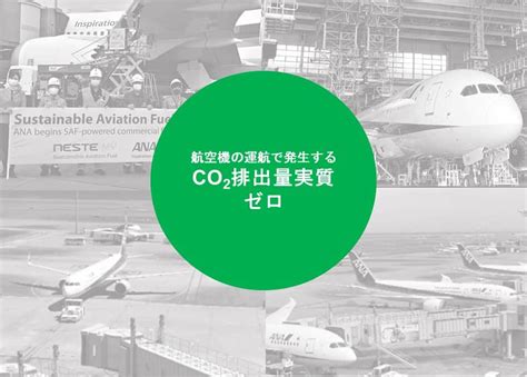 Ana／航空会社のsdgsへの取り組み｜世界環境デー ～anaの環境問題への取り組み～｜ana Future Promise Anaからの