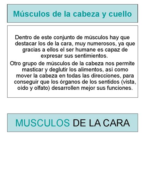 PDF MÃºsculos de la cabeza y cuello DOKUMEN TIPS