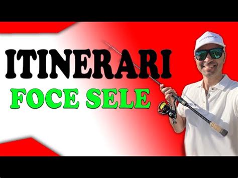 Foce Sele Itinerario Pesca Spinning In Mare Youtube