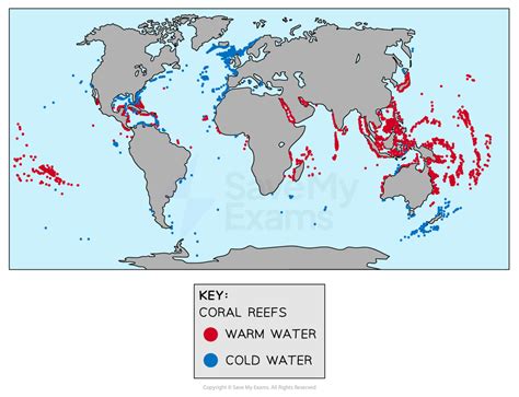 Coral Reef Ecosystems Aqa A Level Geography Revision Notes